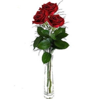 3 Pi�kne R�e