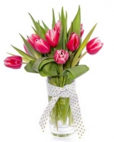 Tulipanowa Mi�o��