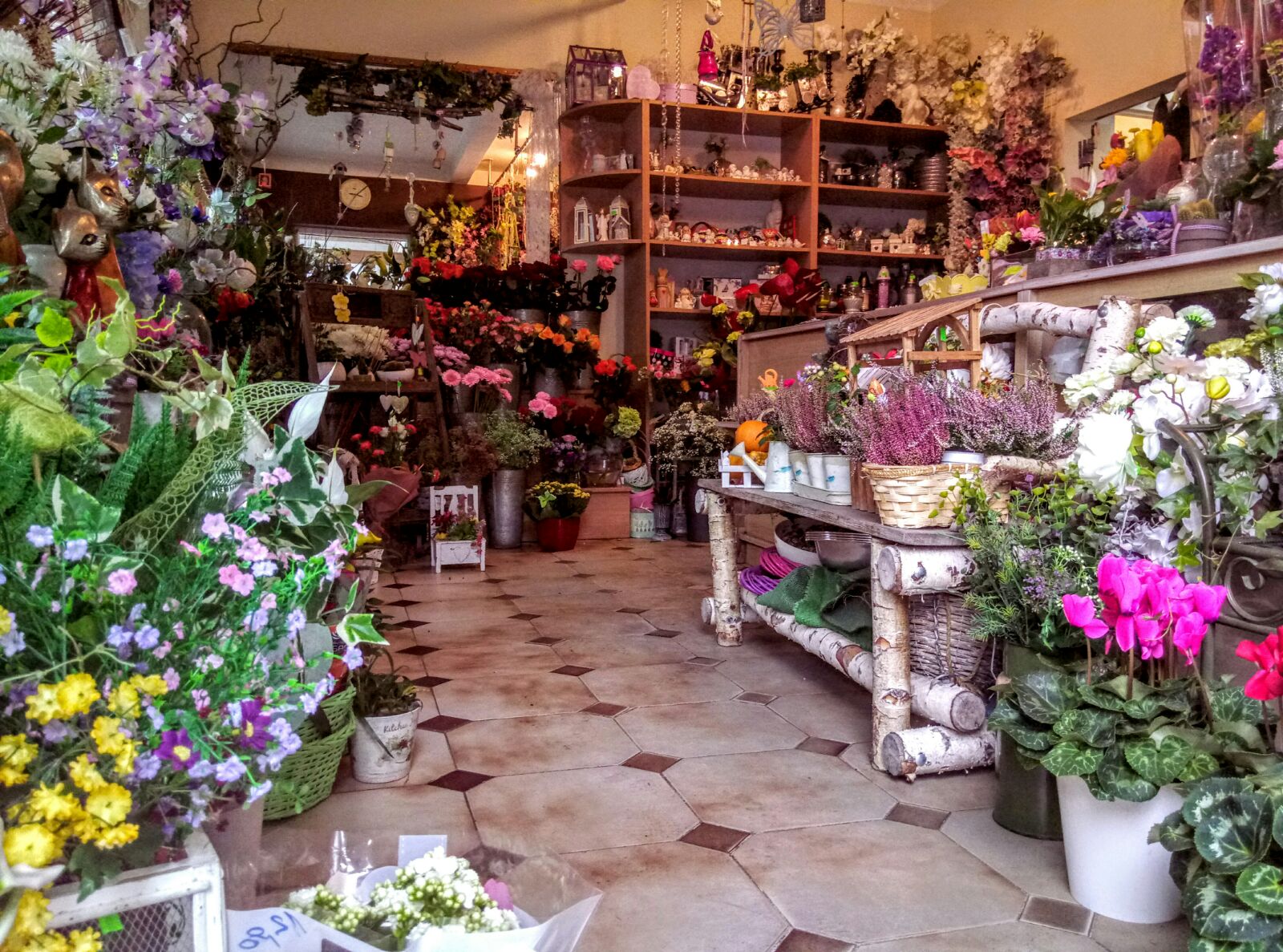 Poznaj nasze kwiaciarnie Kwiaciarnia Świebodzice Blog Kwiaciarni