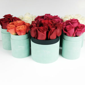 flowerbox