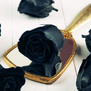 Kwiaty stabilizowane