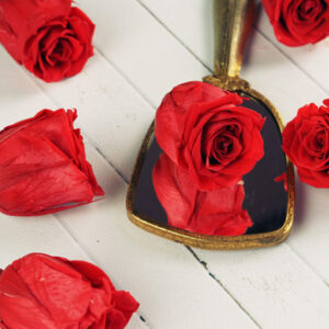 Kwiaty stabilizowane