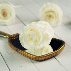 Kwiaty stabilizowane