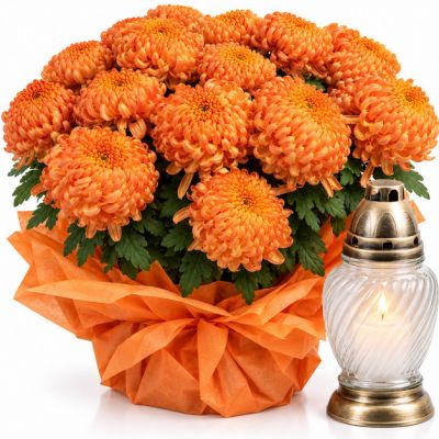 Chryzantema Orange + Znicz