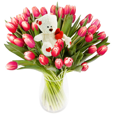 Tulipany Mi�o�ci