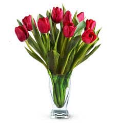9 Czerwonych Tulipanów