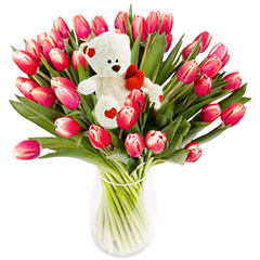 Tulipany Mi�o�ci