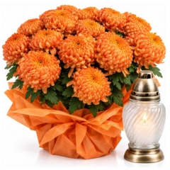 Chryzantema Orange + Znicz