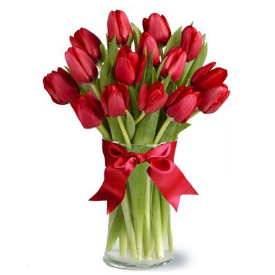 15 Czerwonych Tulipanów